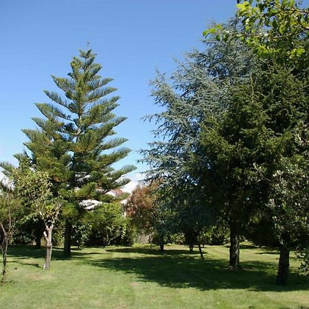 Вілла Vivienda Tradicional Con Jardin Y Patio Interior Віланова-де-Ароуса Екстер'єр фото