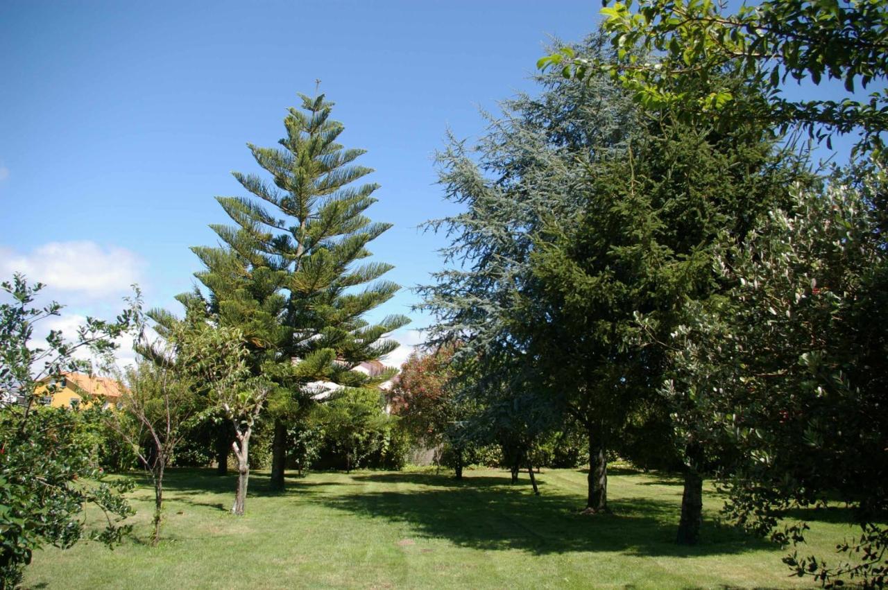 Вілла Vivienda Tradicional Con Jardin Y Patio Interior Віланова-де-Ароуса Екстер'єр фото