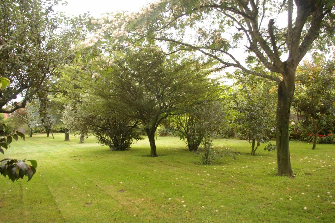 Вілла Vivienda Tradicional Con Jardin Y Patio Interior Віланова-де-Ароуса Екстер'єр фото